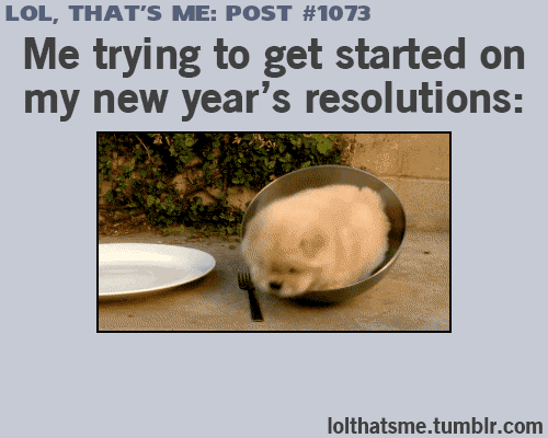 New years resolution reaction lolthatsme GIF on GIFER - by Katilar
