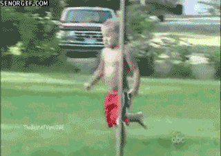 GIF son free funny pooltry - animated GIF on GIFER - by Forcepick