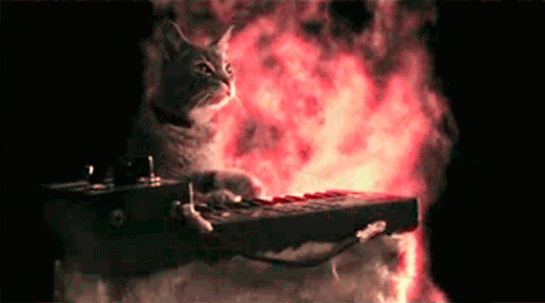 Кот в огне. Горящий котик. Адский кот. Котенок взрывается. Кошка сгорела
