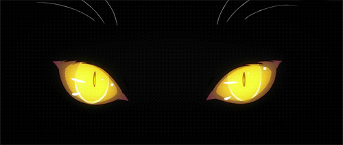 Anime eyes cat GIF - Find on GIFER