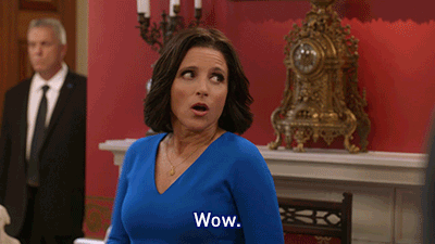 Image result for oh wow veep gif