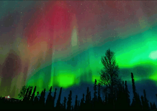  GIF  aurora  borealis northern lights nature animated GIF  