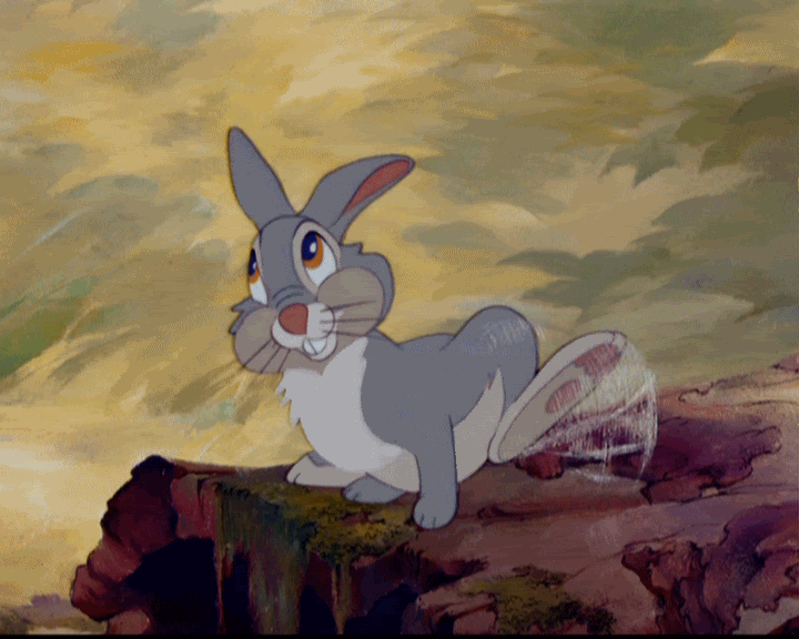 Бэмби кролик Топотун. Бэмби и Топотун. Кролик Топотун Дисней. Кролик тампер из Бэмби. Rabbit gif