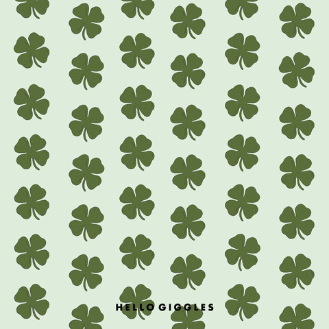 four leaf clover,st patricks day,irish,lucky,luck,luck of the irish