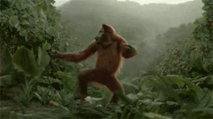 monkey,dance