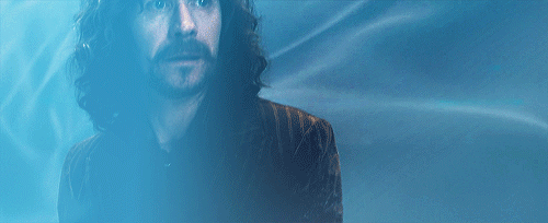 harry potter and the order of the phoenix,sirius black,harry potter,hp,daniel radcliffe,gary oldman