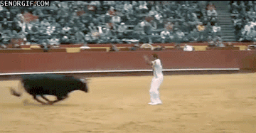 bull fighter,acrobats,bullfights,sports,funny,animals,angry,running,win,yikes,flip,jumps,bull,matadors
