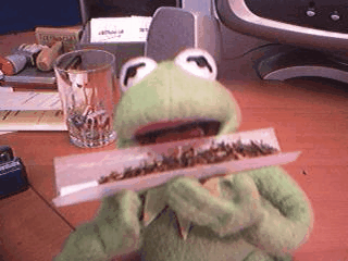 funny,weed,love,smoking,kermit,smoke,swag,420,joint,chill,fox,yolo,muppet