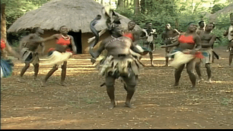 Зулусы шаман. Африканские танцы. Танцы африканских племен.