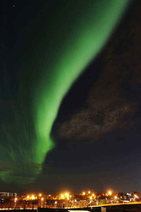 lights,october,tonight,aurora,northern,borealis,reykjavk