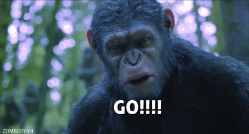 go,go go go,planet of the apes,monkey