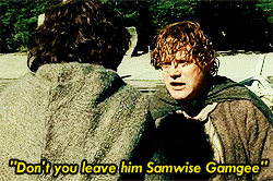 fellowship of the ring,movies,harry potter,the lord of the rings,our,sam,frodo,lord of the rings,sadness,rebecca,elijah wood,argument,leaving,sean astin,samwise