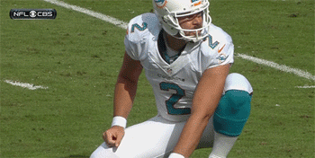 miami dolphins,fail,nfl,miami,dolphins,blooper,nutshell,in the face