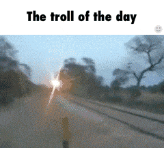troll,day