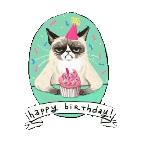 grumpy cat,transparent,birthday,happy birthday,celebrating,hbd