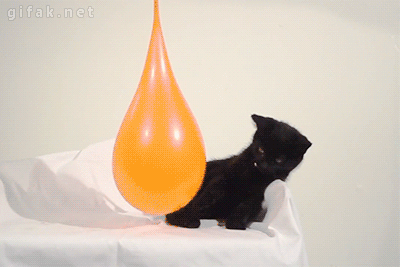 cat,boom,balloon
