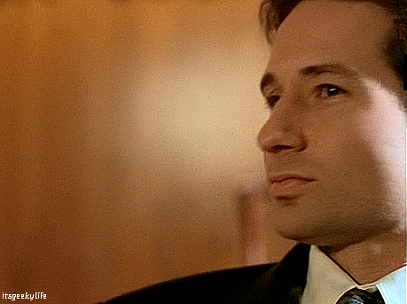 david duchovny,fox mulder,trust no one,dana scully,mitch pileggi,chris carter,gillian anderson,xfiles,the truth is out there,special agent fox mulder,i want to believe,special agent dana scully,vince gilligan