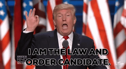 i am the law and order candidate,donald trump,rnc,election 2016