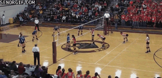 sports,fail,volleyball,2 for 1