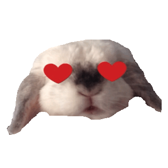 cutie,easter,transparent,love,cute,bunny,rabbit,bae