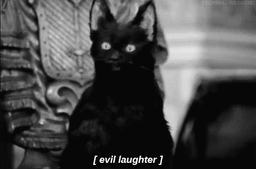 cat,laughing,laugh,evil,evil laugh,sabrina the teenage witch,salem