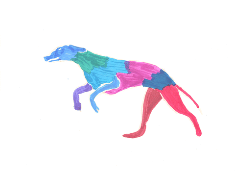 run,art,dog,color,glas 2017