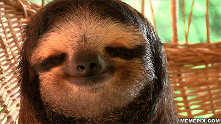 relaxed,sloth,chill