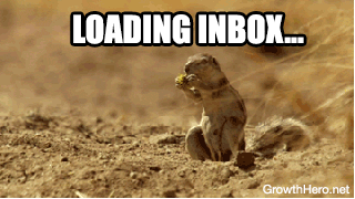 emails,squirrel,panic,inbox,email,running away,3502 unread emails,shocked,outlook,loading inbox