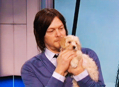 norman reedus,thug life,taylor swift,dragon ball z,the walking dead,valentines day,my little pony,puppies,obamacare,fluffy,shipping,cupcakes,hot cocoa,fbi agent,dayrl dixon,tadder tots,love at first bite