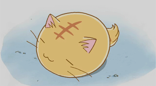 anime,kitten,cat,kawaii,kitty,sleepy,sleepy kitten