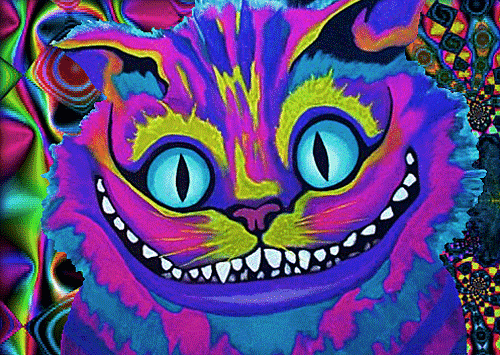 psychedelic,cheshire cat,drugs,alice in wonderland,psychedelics,art,trippy,colorful,tripping