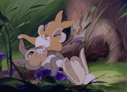 rabbit,bambi,thumper,disney love,walt disney,cute rabbit,love,cartoon