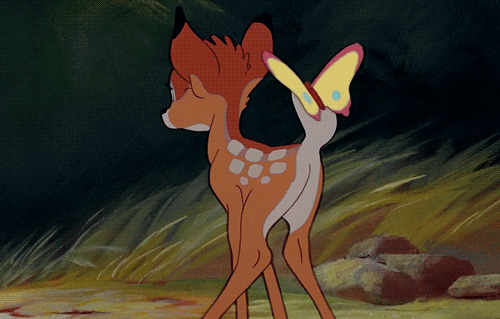bambi,butt,disney,flower,deer