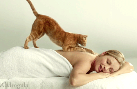 relaxed,cat,kitty,kitten,paws,massage,alx,massaging