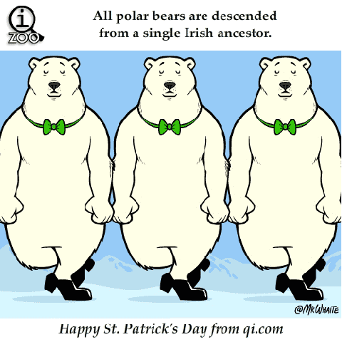 st patricks day,irish,dancing,jig,facts,polar bears,animal,fact