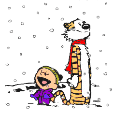 calvin and hobbes,snow