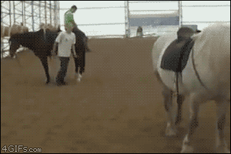 animals,fail,horse,jumping,gtfo,mount,kick