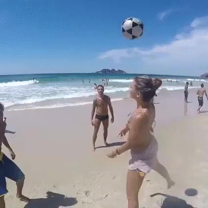 football,dog,beach,plays