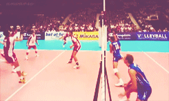 volleyball,poland nt,siatkarze,european championships