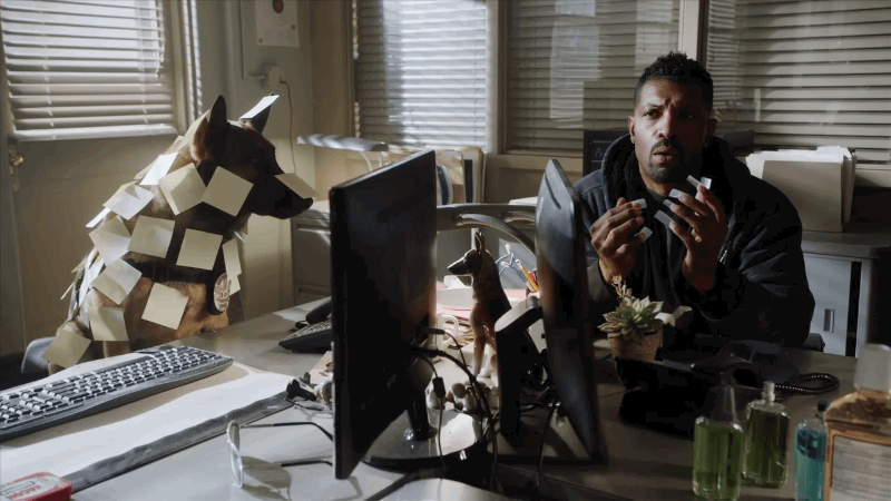 angie tribeca,what,bored,huh,tbs,deoncole,jaggerthedog