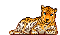cheetah,transparent,cat,animation,pixel,pixels,relaxed,leopard,big cat,laying down