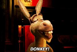 donkey shrek,donkey,shrek,disney,shrek go