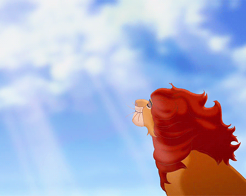 spring,the lion king
