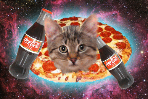 party cat,pizza,kitty,pew pew,laser cat