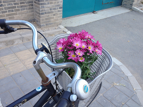 flowers,activist,bouquet,day,artist,front,travel,bicycle,ai,government,basket,protest,ban,beijing,weiwei