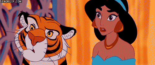 princess jasmine,reaction face,animation,cartoons,tiger,aladdin,cartoons comics