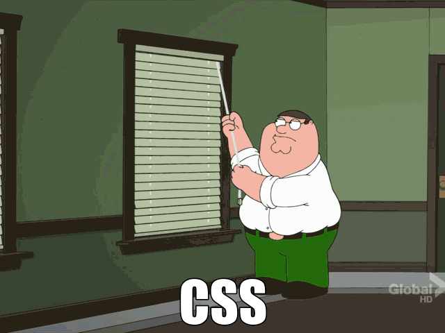 programming,blinds,peter griffin frustrated with blind,css,fuck this,frustrated,annoyed,fuck it