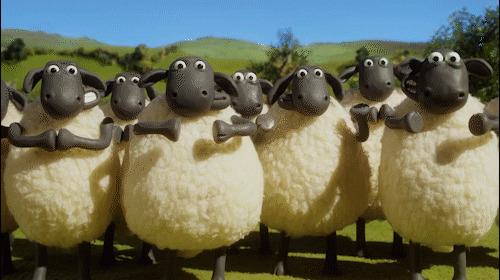 congratulations,high five,shaun the sheep,well done,nice one,shaunthesheep,hi five,olympics,yay,clap,rio,woo,aardman,championsheeps