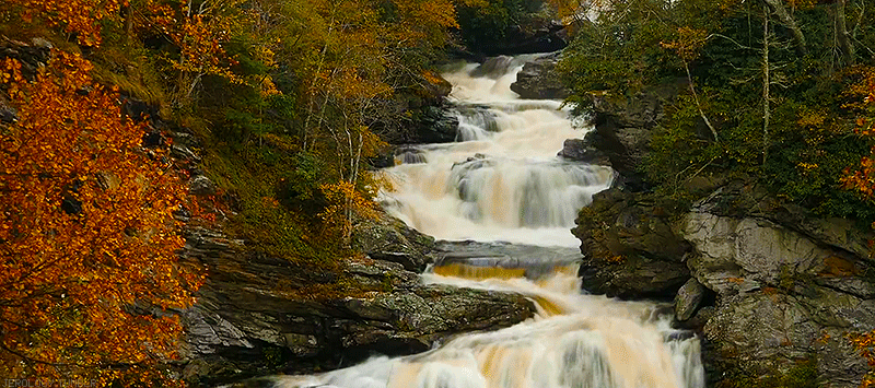 autumn,waterfall,cascade,nature,cinemagraph,beauty,purity