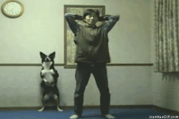 dog,exercise,smart,squats